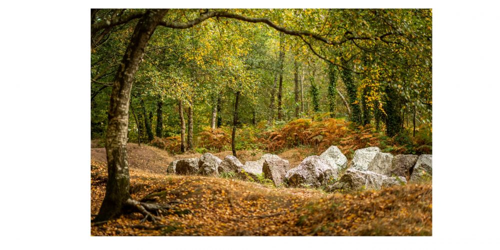 Balade sur les traces de Merlin l'enchanteur.