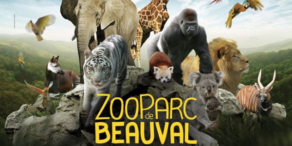 Sortie Récréative du R3CF 2021