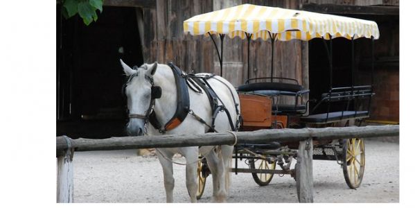 Assemblée Générale et sortie dans le Périgord 
