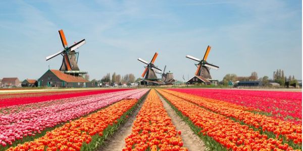 La Belgique et la Hollande au printemps.