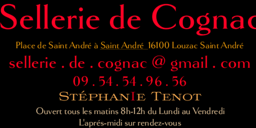 Sellerie de Cognac , réfection des sièges de camping-car 