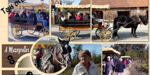 visuel Mises à jour de la galerie