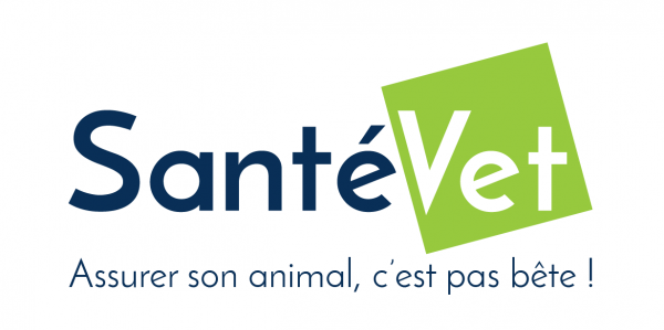 visuel Voyager en toute sérénité en camping car avec votre chien ou votre chat !