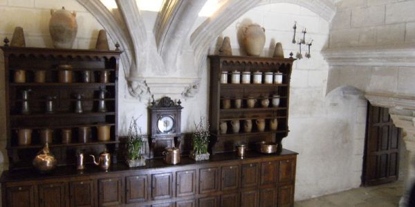 Sortie Zoo de Beauval