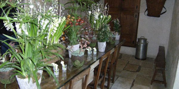 Sortie Zoo de Beauval