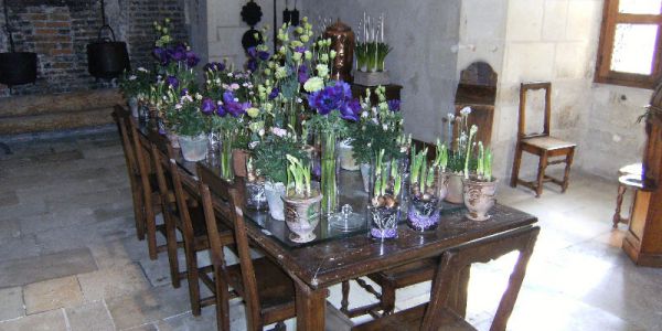 Sortie Zoo de Beauval