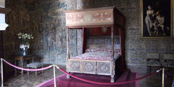 Sortie Zoo de Beauval