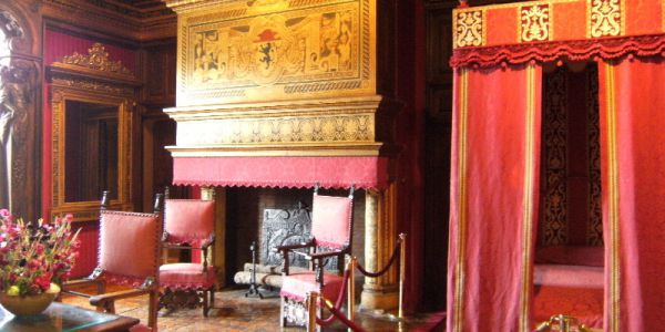 Sortie Zoo de Beauval