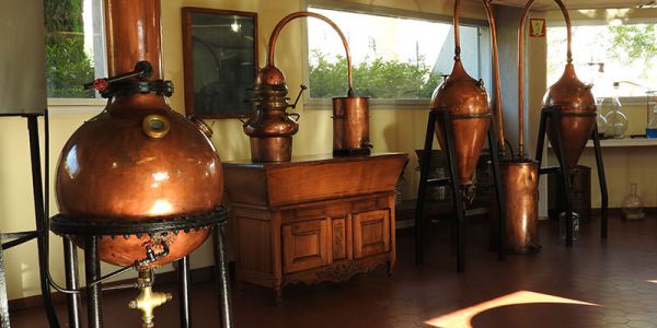 Sortie sur la Côte d'Azur