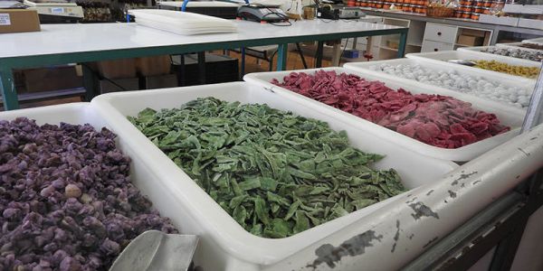 Sortie sur la Côte d'Azur