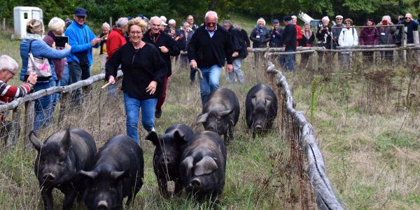 Sortie entre Périgord et Lot