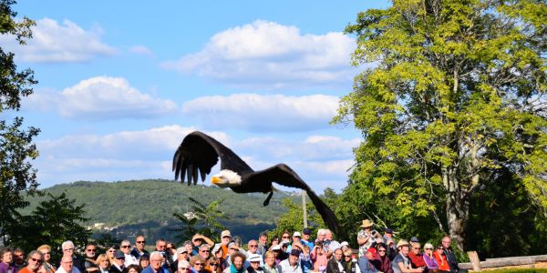 Sortie entre Périgord et Lot