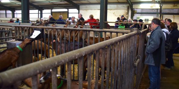 Sortie entre Périgord et Lot