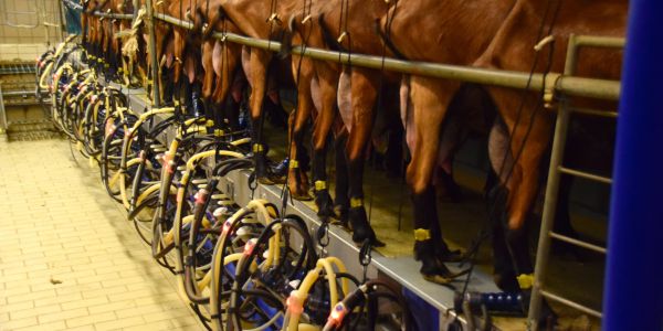 Sortie entre Périgord et Lot
