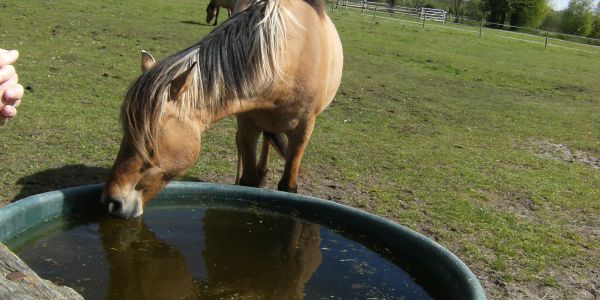 Sortie Picardie Maritime