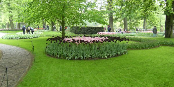 Voyage dans les Pays Bas