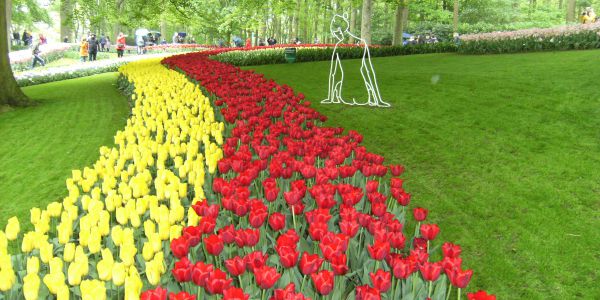 Voyage dans les Pays Bas