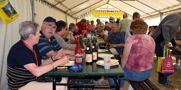 Sortie dans le golf du Morbihan