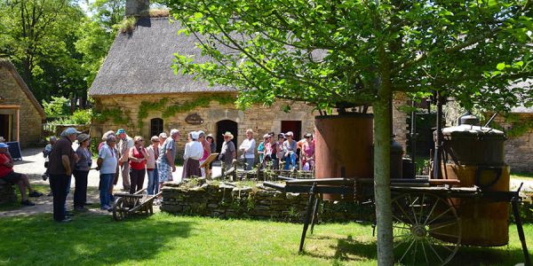 Sortie dans le golf du Morbihan