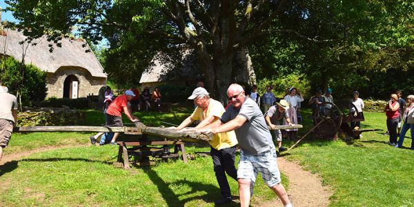Sortie dans le golf du Morbihan