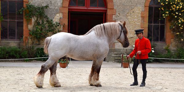 Sortie dans le golf du Morbihan