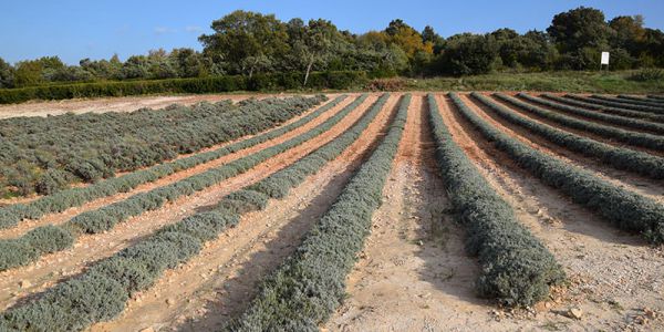 Randonnée en Ardèche
