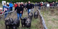 Sortie entre Périgord et Lot 