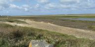 Sortie en Bretagne 