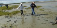 Sortie en Bretagne 