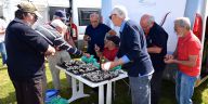 Sortie dans le golf du Morbihan